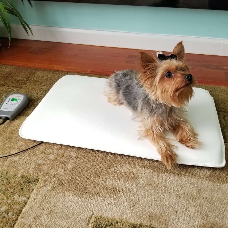 OMI Minimat (PEMF) egner seg like godt for dyr som for mennesker